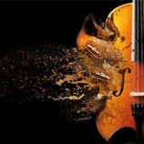 8 Unique and Unusual Sample Libraries