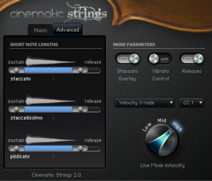 cinematic strings 2 review